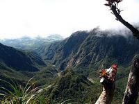 Mt Isarog National Park景点图片