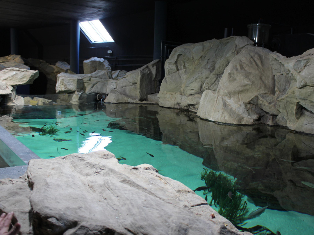 Acquario Di Livorno景点图片
