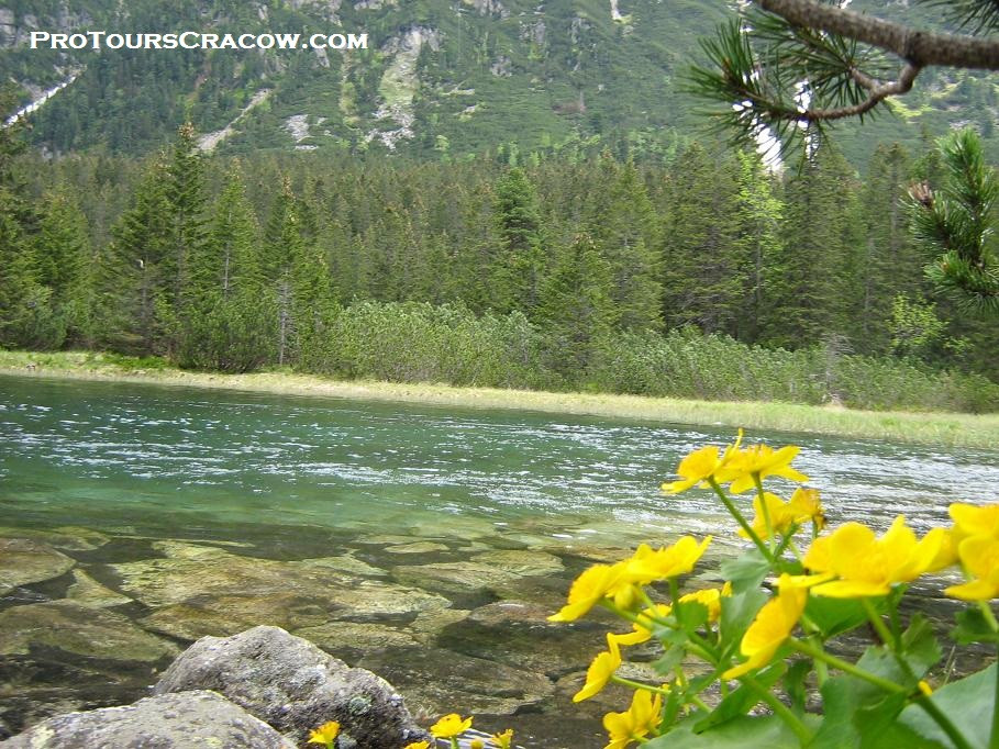 Pro Tours Cracow - Day Tours-克拉科夫必去景点