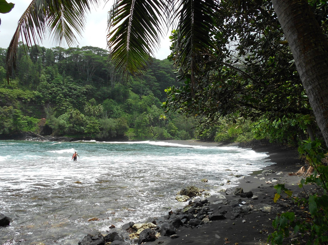 Tahiti Safari Expedition景点图片