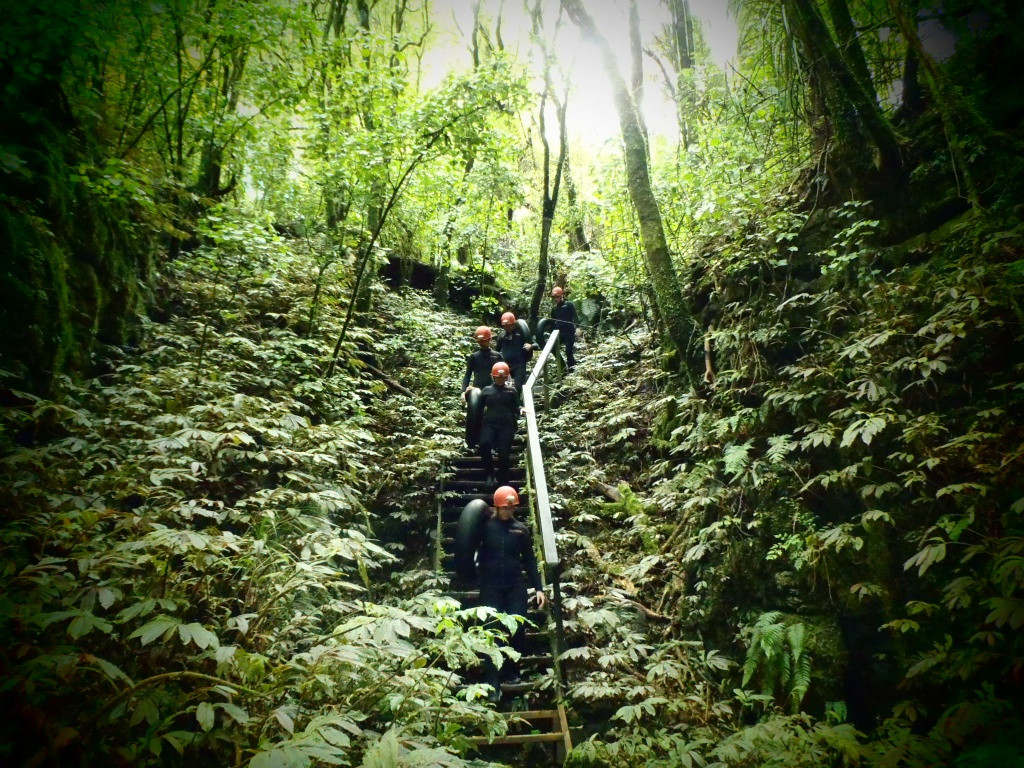 洞穴世界-怀托摩洞穴必去景点