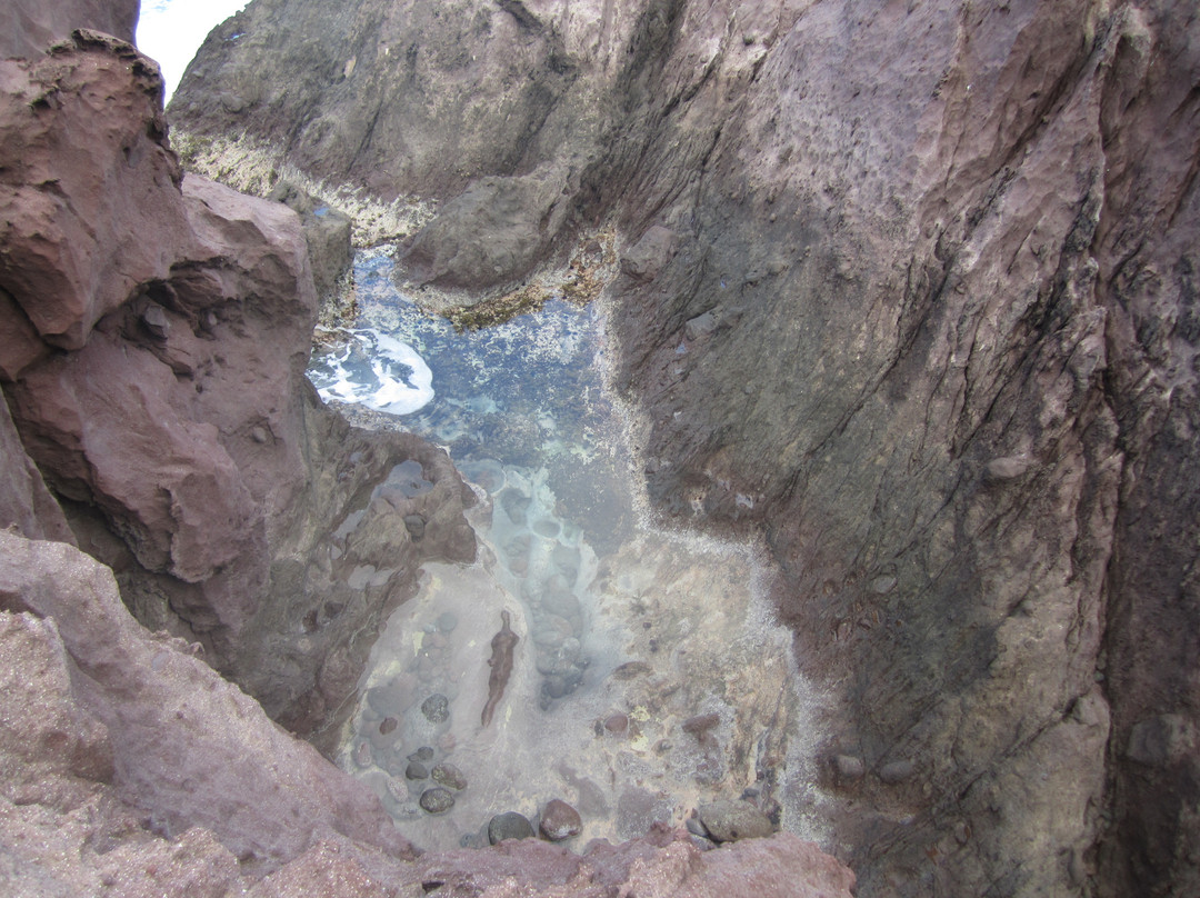 Tide Pools at Flat Point-萨巴岛必去景点