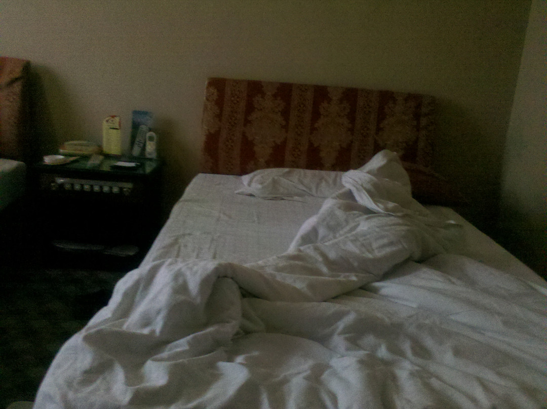 梁山杏花村大酒店主图