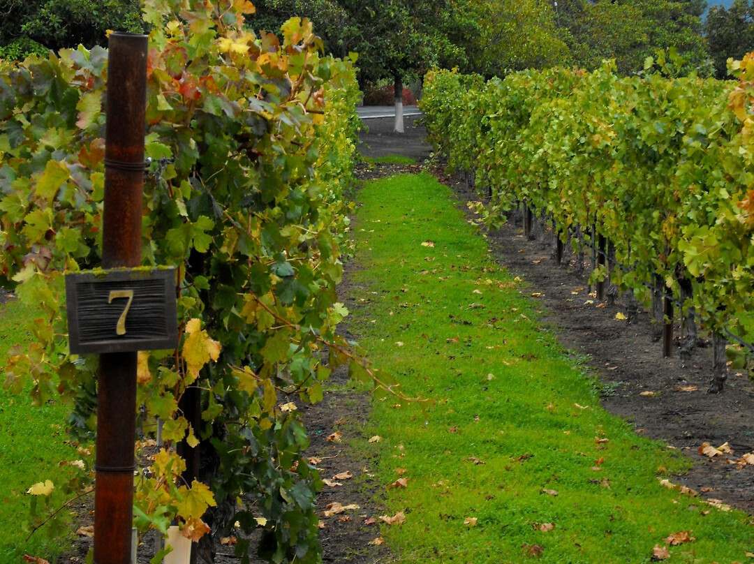 Clos du Val Winery-纳帕必去景点