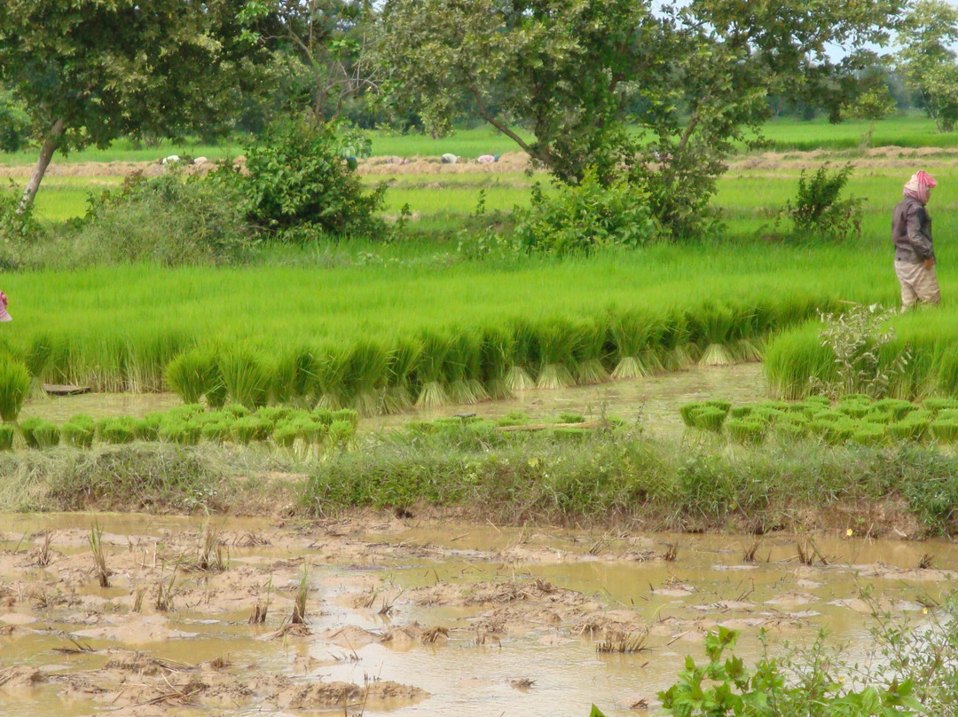 Camboquad-金边必去景点