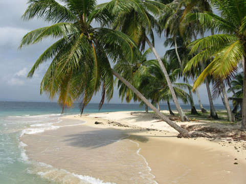 Eco Trips Panama-巴拿马城必去景点