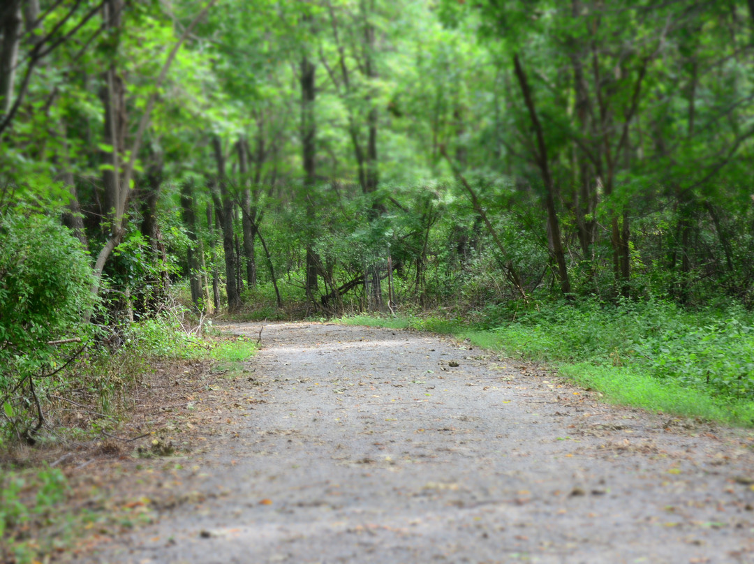 John Heinz National Wildlife Refuge at Tinicum景点图片