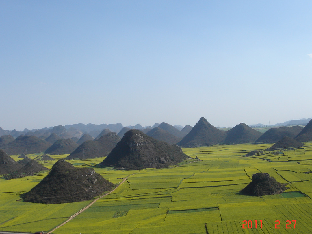 金鸡峰林-罗平县必去景点