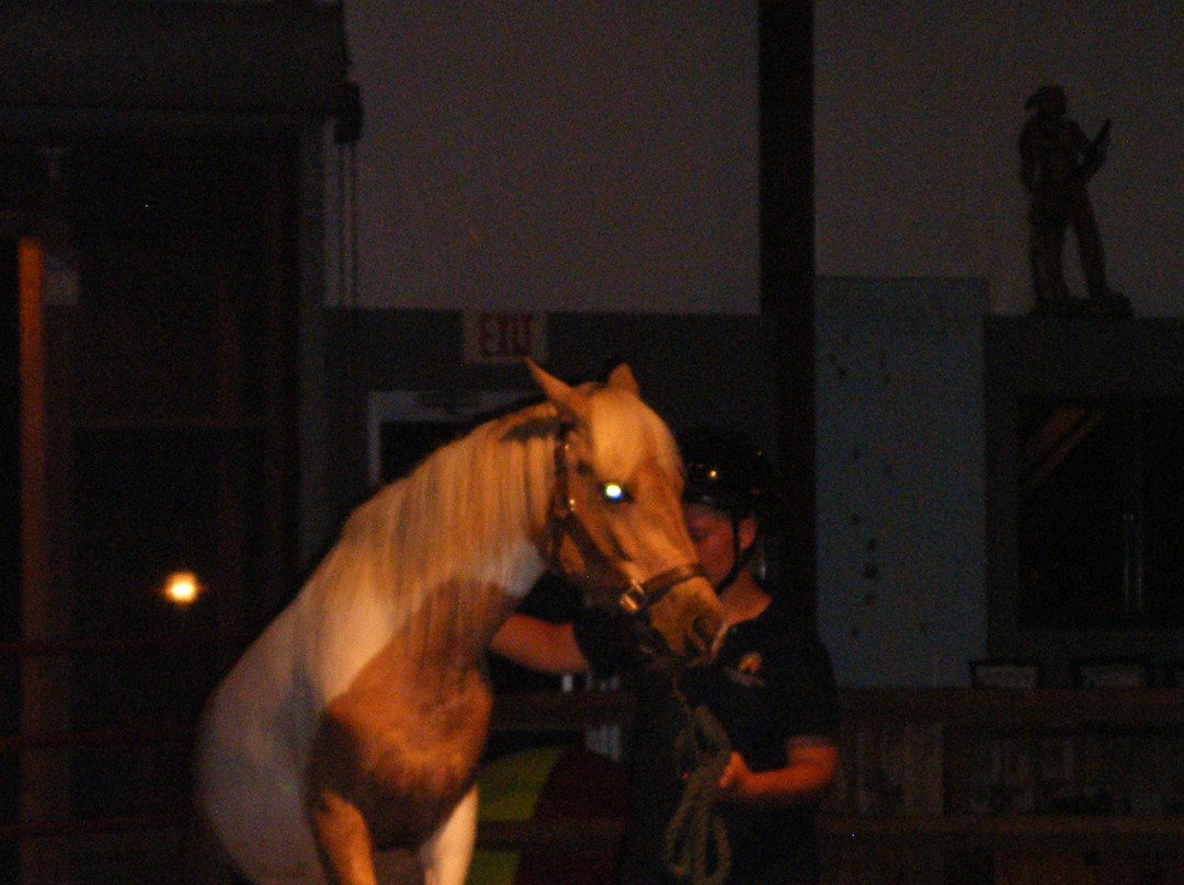 Chincoteague Pony Centre景点图片