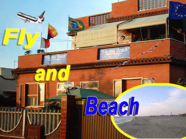 Fly and Beach-官方