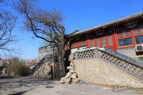 陶然亭公园-北京市必去景点