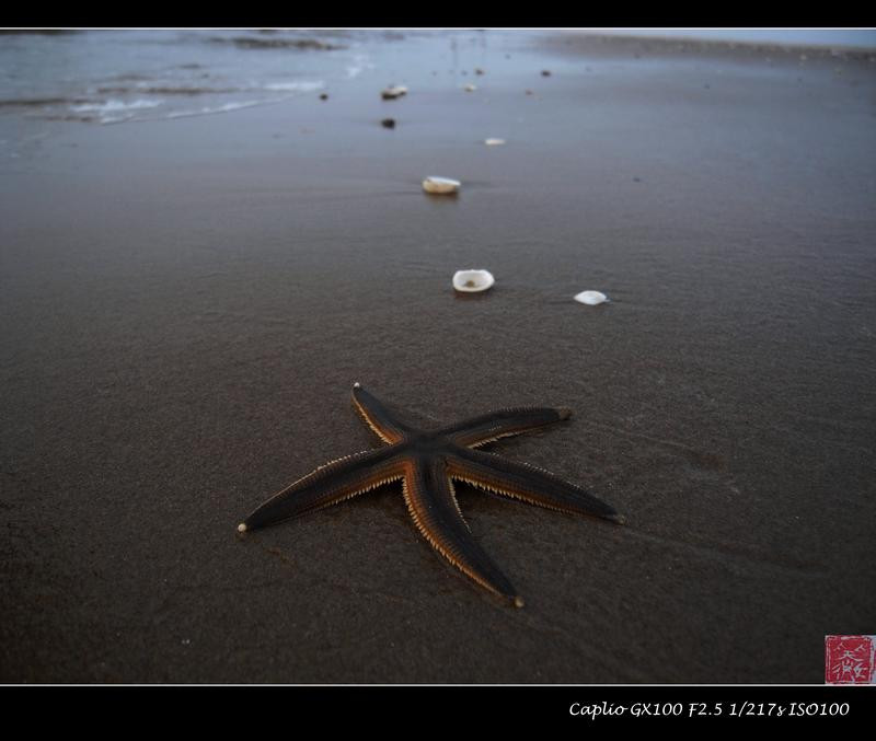 翡翠岛-昌黎县必去景点