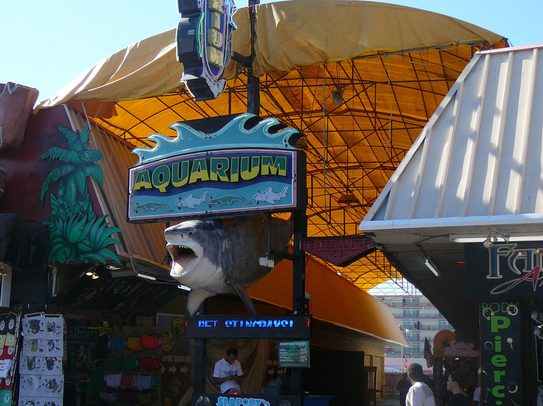 Seaport Aquarium景点图片