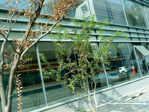 北京桔子酒店望京店主图