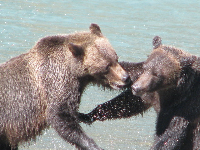 Aboriginal Journeys - Wildlife And Adventure Tours-坎贝尔里弗必去景点