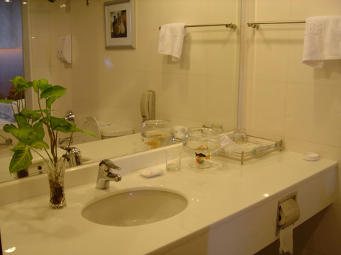 扬州花园国际大酒店主图