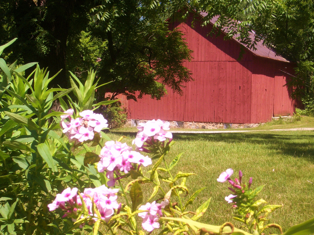 Snowbird Inn Bed & Breakfast主图