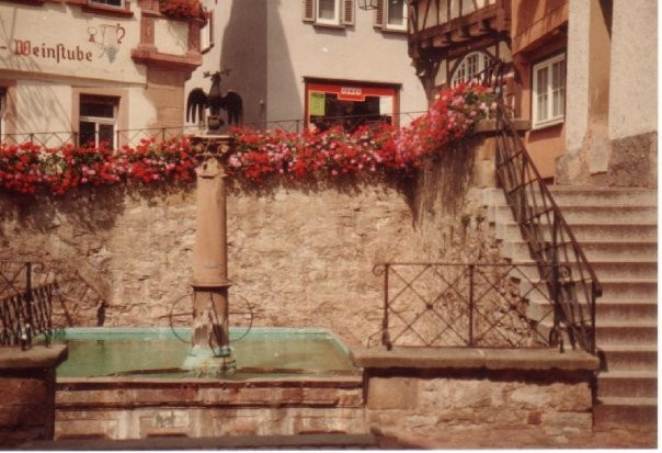 Wimpfen Imperial Palace景点图片