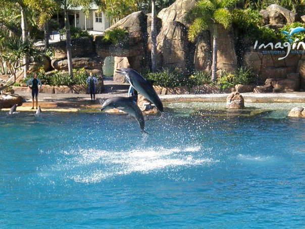 黄金海岸城市艺术画廊-冲浪者天堂必去景点