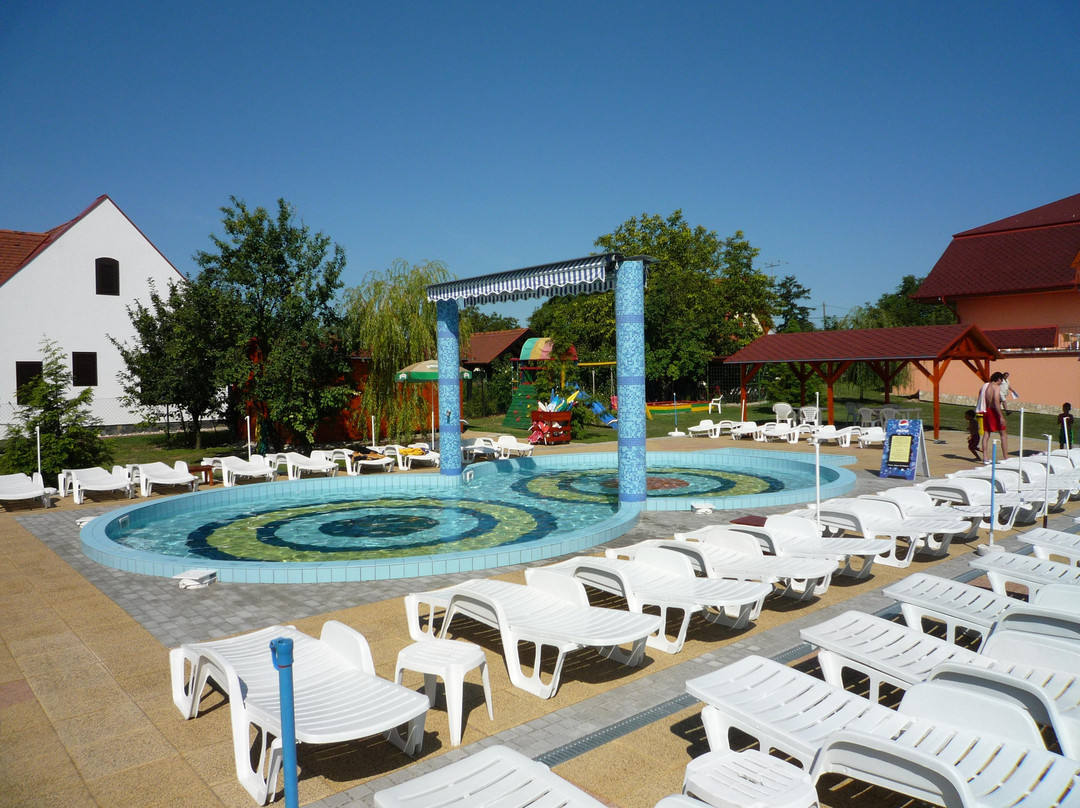 Gyenesdias酒店住宿-Wellness Hotel Katalin