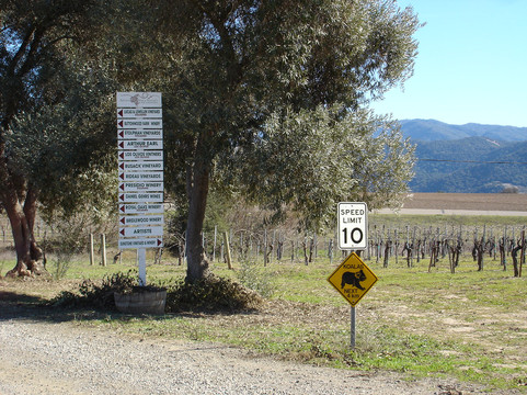 Kalyra Winery-圣伊内斯必去景点