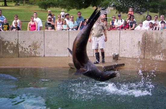 Louisville Zoo-路易斯维尔必去景点