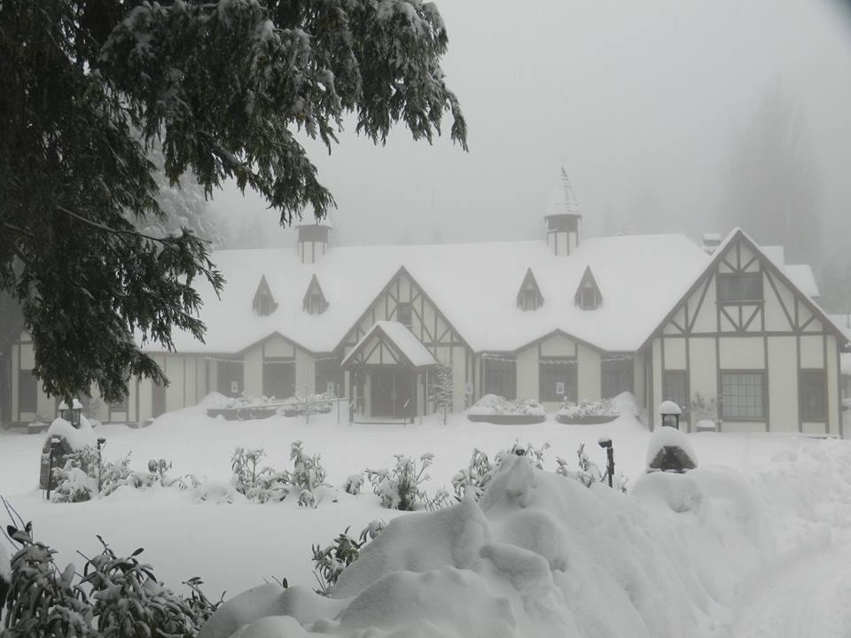 Skyforest餐馆和美食-The Tudor House