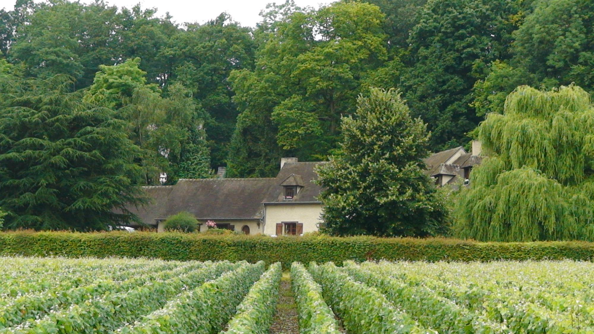 Le logis des Elfes-浴室