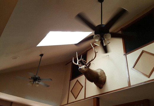 Tilden餐馆和美食-Caleb Garcia Staghorn