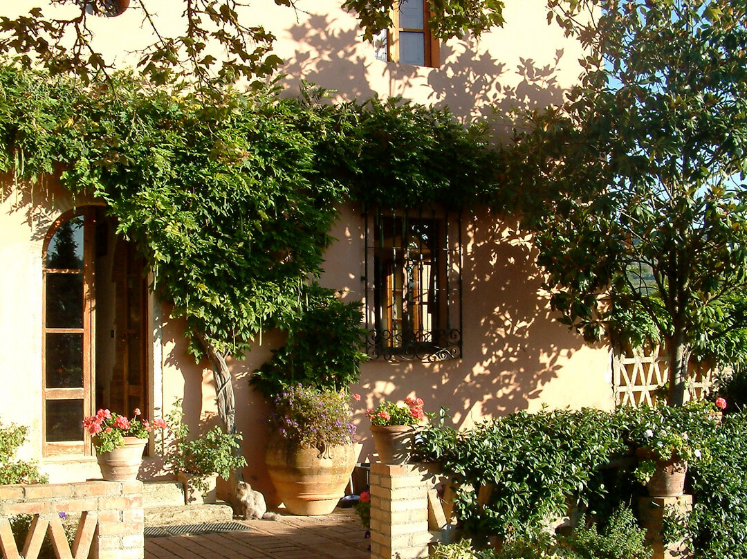 Montecchio酒店住宿-Vallebuia Country House