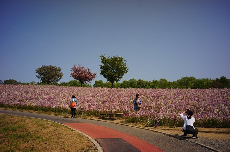 Ota City Hokubu Undo Park-太田市必去景点