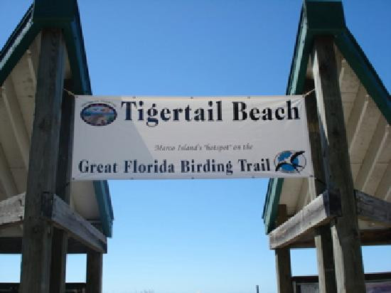Tigertail Beach景点图片