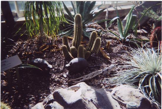 弗里德里克梅雅公园与雕塑公园-大急流市必去景点