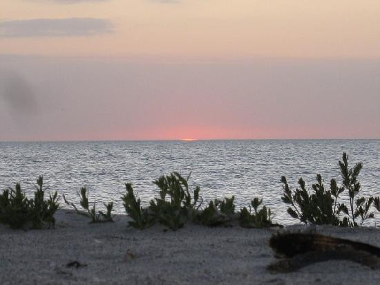 Cayo Costa State Park-Boca Grande必去景点