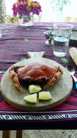 Wasini Island-Shimoni必去景点