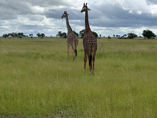 Usambara Expeditions-Dar es Salaam必去景点