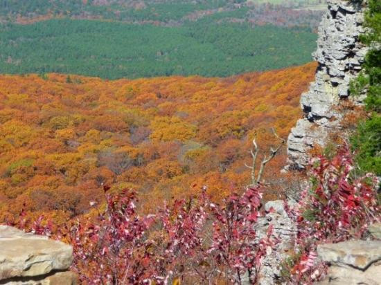 Mount Magazine State Park景点图片
