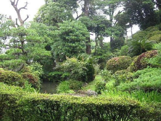 Ryugeji Temple-静冈市必去景点