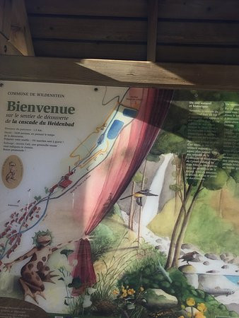 Cascade du Heidenbad-Wildenstein必去景点