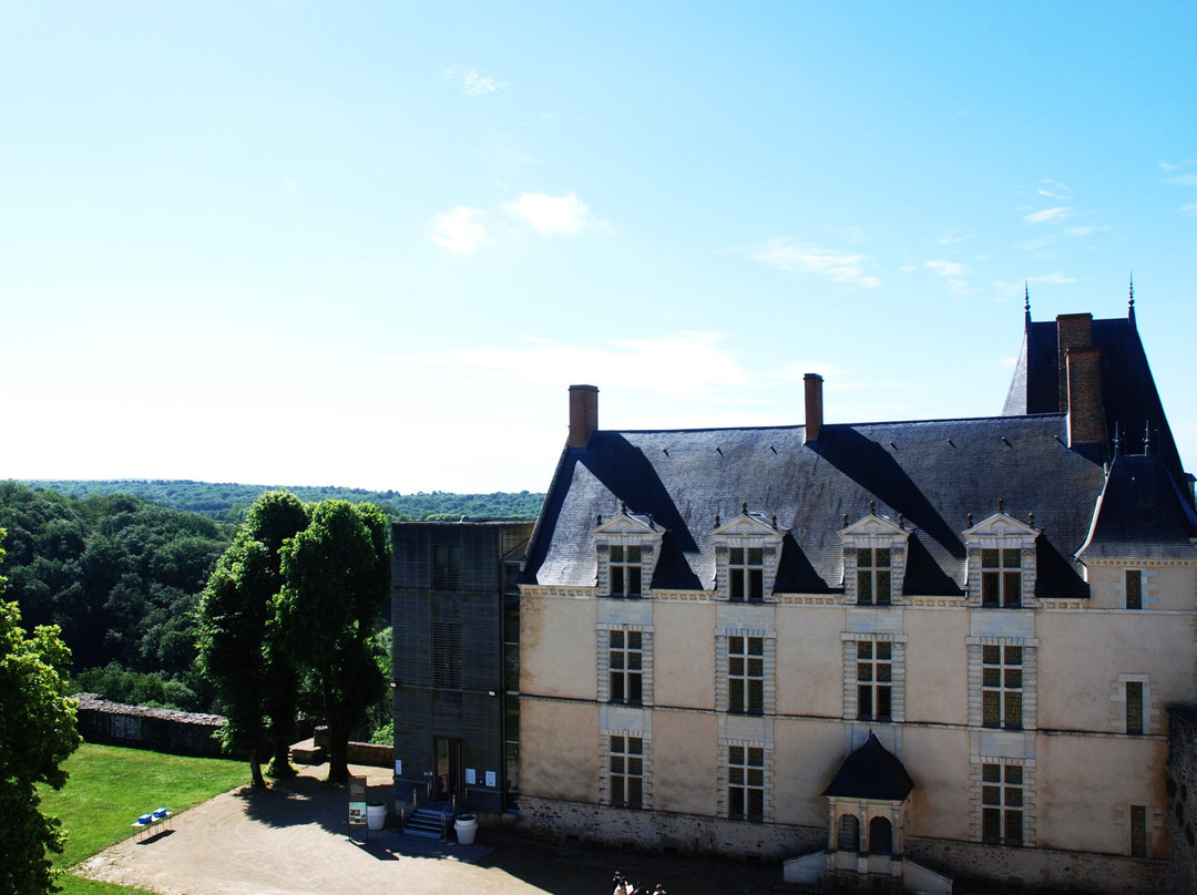 Chateau de Sainte-Suzanne景点图片