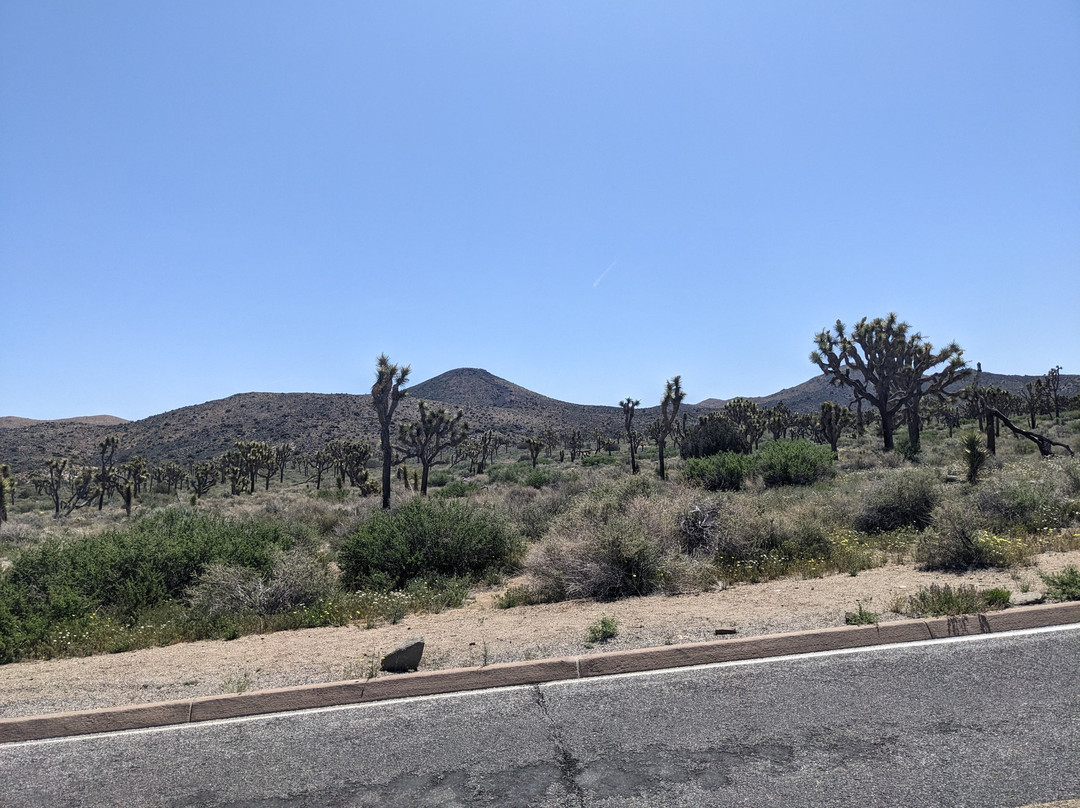 Adventure Hummer Tours and Events-棕榈沙漠必去景点