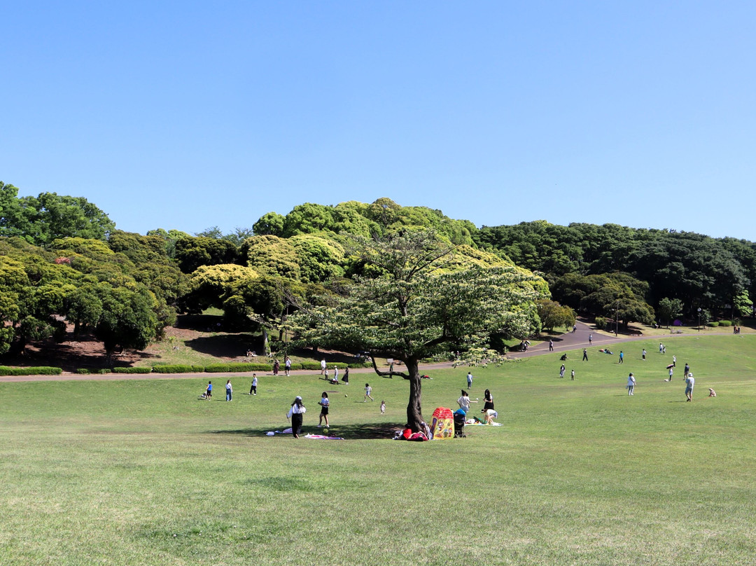Yokohama Negishi Forest Park-横滨市必去景点