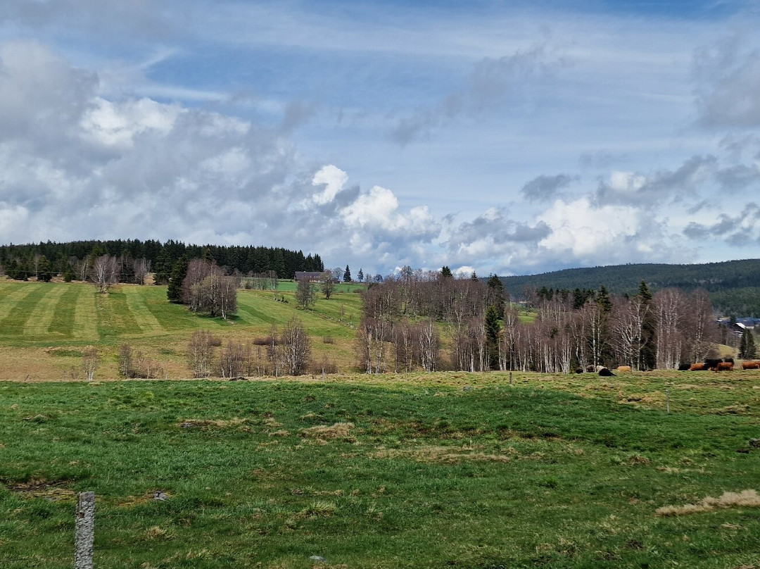Kvilda - The source of Vltava-Kvilda必去景点
