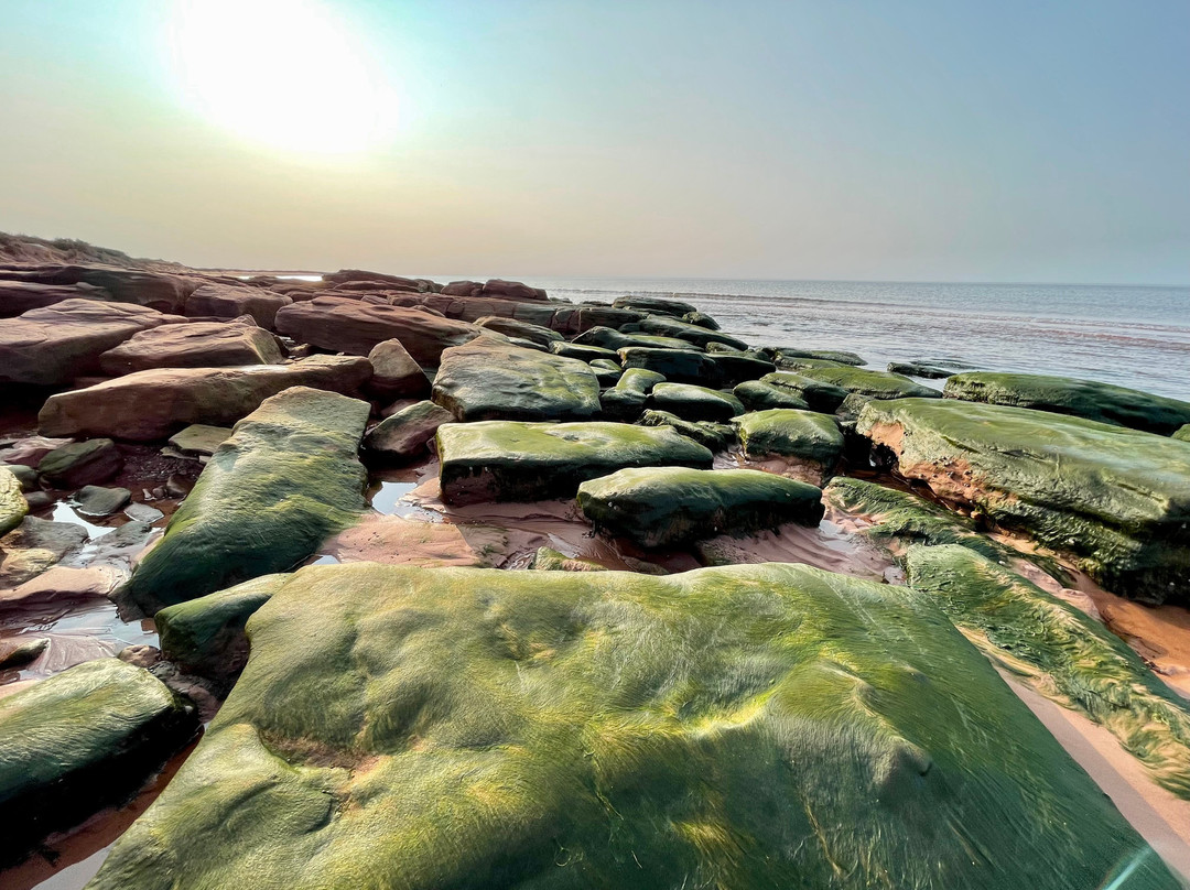 North Lake Beach Motel主图