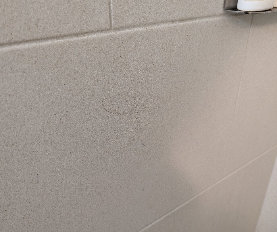 Holiday Inn Riverton - Convention Center By Ihg主图