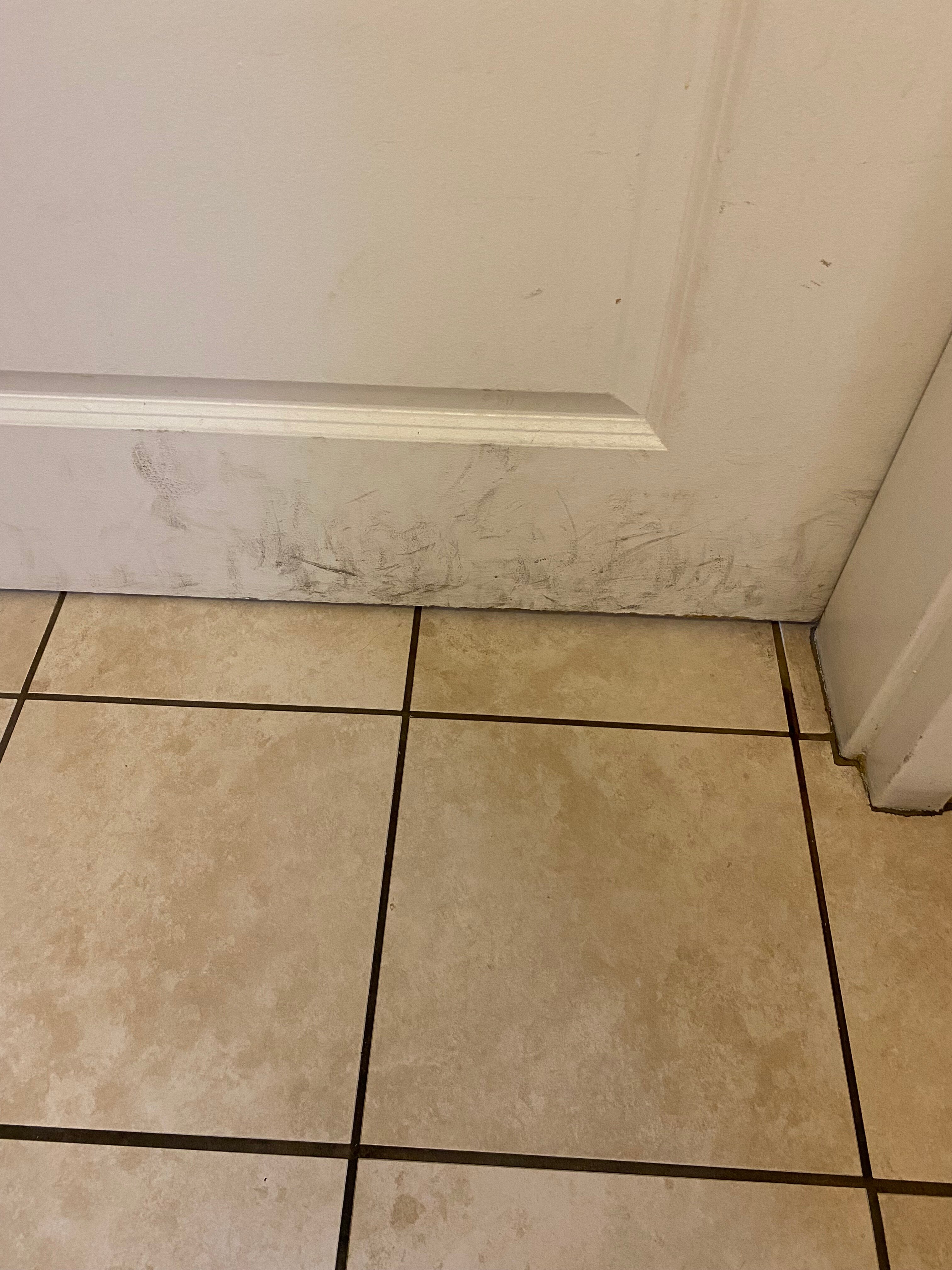 Towneplace Suites Scranton Wilkes-barre-浴室