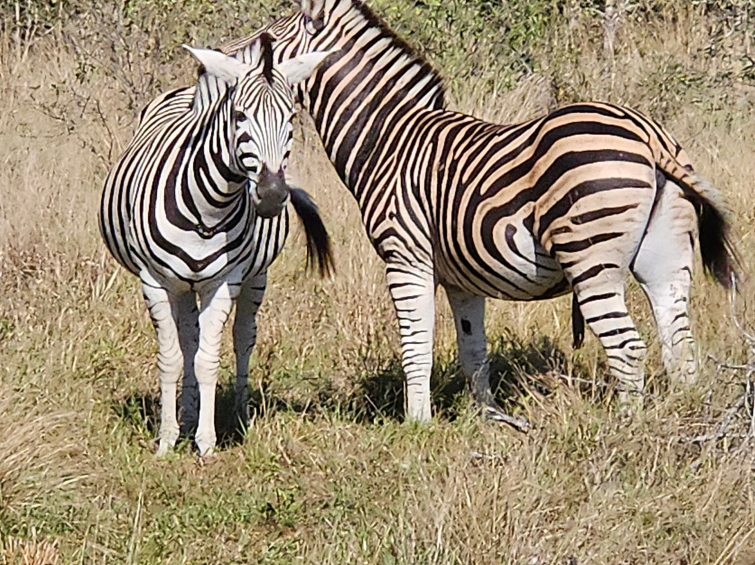 Red Africa Safaris-司库库札必去景点