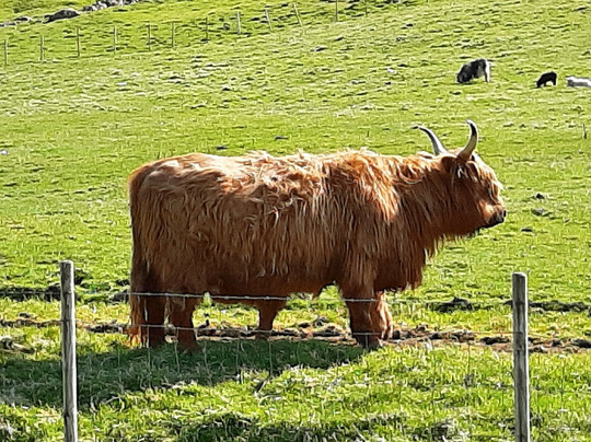 Gasadalur Tunnel-Gasadalur必去景点