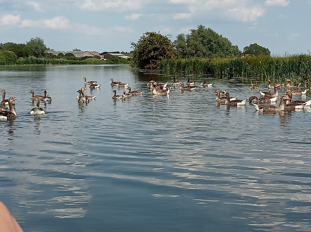 Liberty Belle Cruises景点图片
