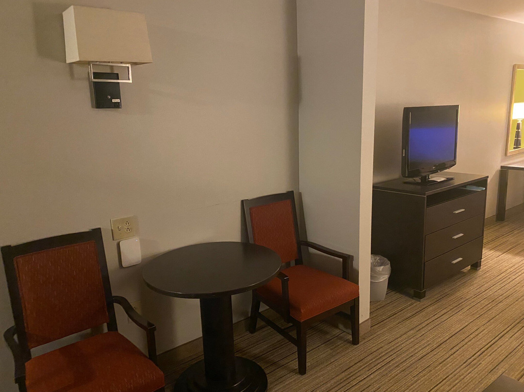 智选假日套房酒店士美非路主图